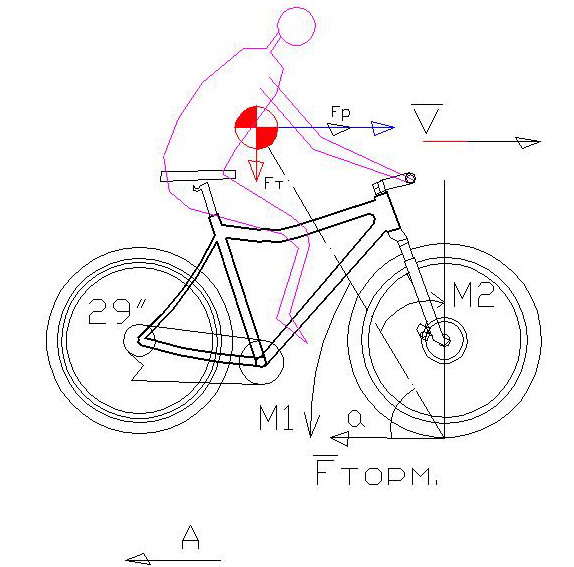 29velir-Model.jpg