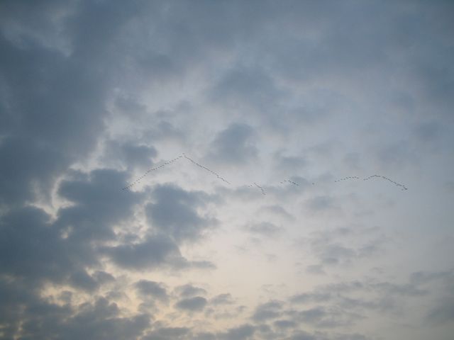 IMG_0089.jpg