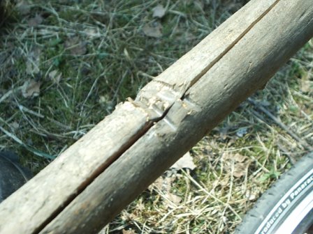 S2010025.jpg