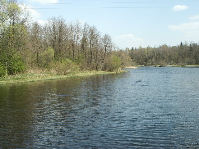 S2010032.jpg