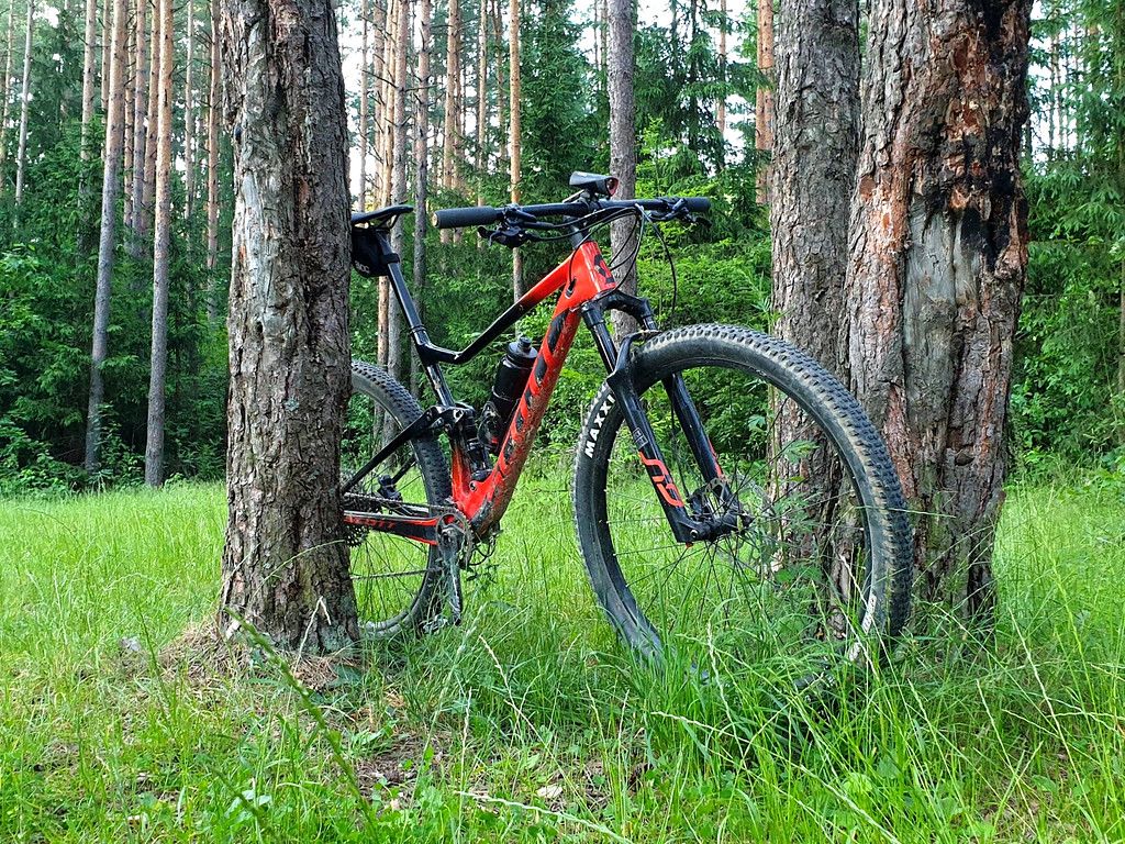 sp3.jpg