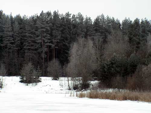 PICT0006gfhfh.jpg