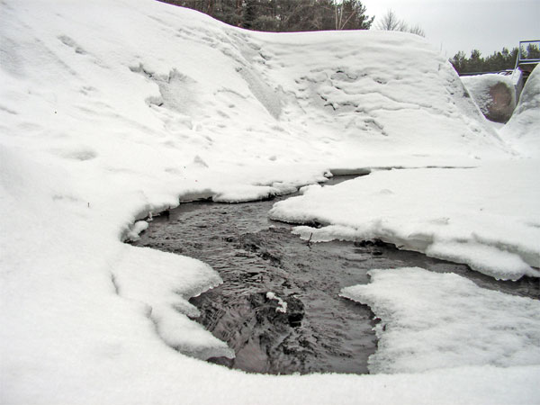 PICT0027-ruchee1k.jpg