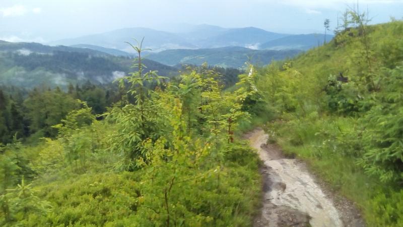 IMG_20170616_154927.jpg
