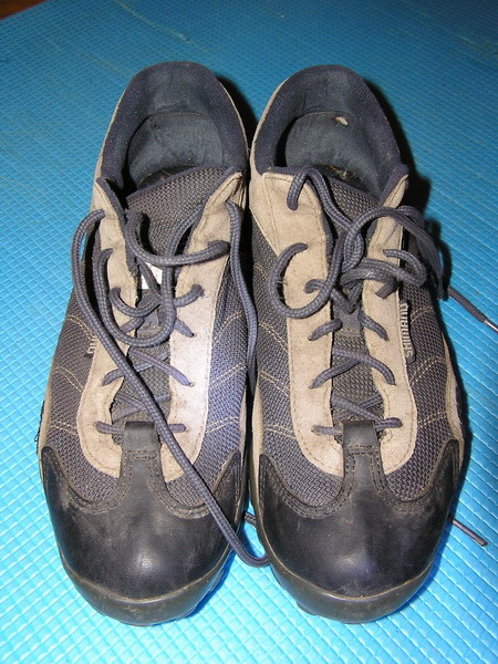 PA250003_2_resize.jpg