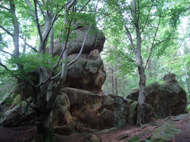 DSC05037.JPG