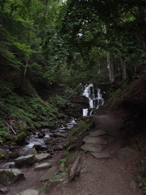 DSC05140.JPG
