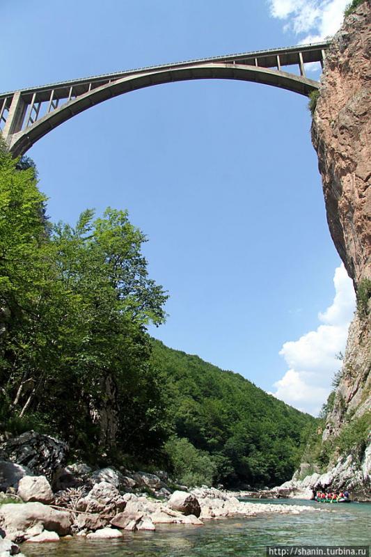 pic_2_2.jpg