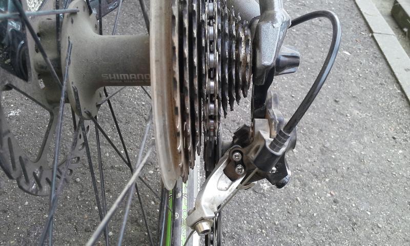 20150413_121915.jpg