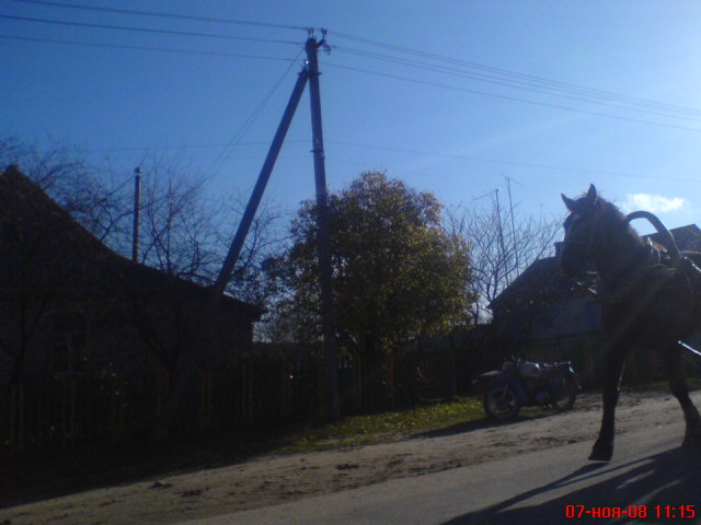 DSC03299.JPG