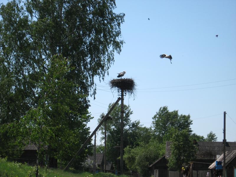 IMG_45881.jpg