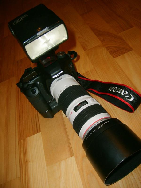 z_740c7d53.jpg