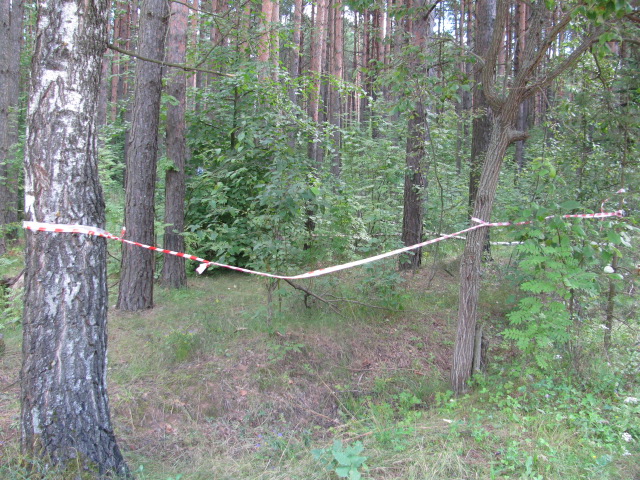 IMG_8453_2.JPG