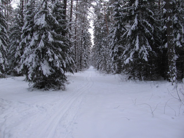 IMG_1405.JPG