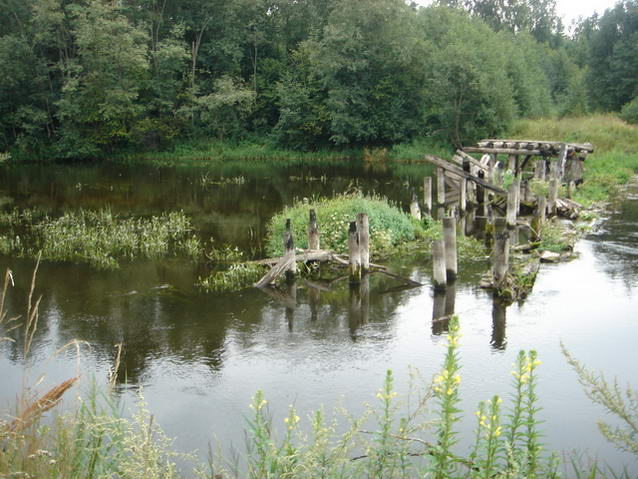 DSC00436.JPG