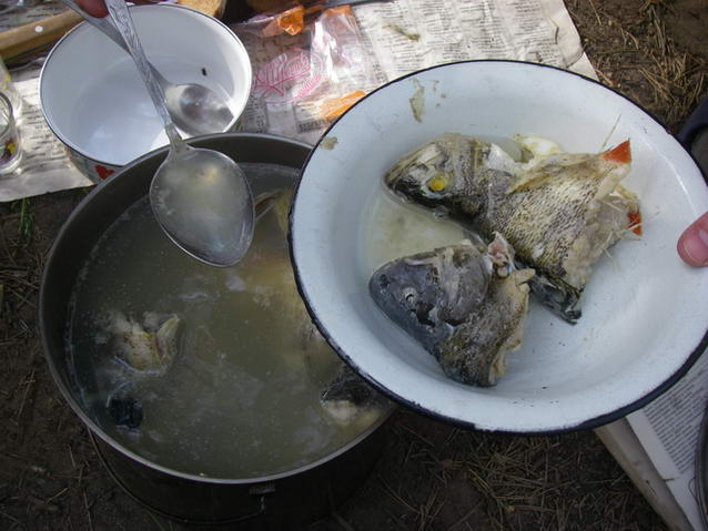 IMGP0716.JPG