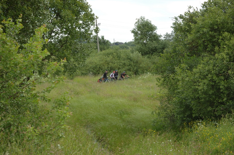 DSC_1390_resize.jpg
