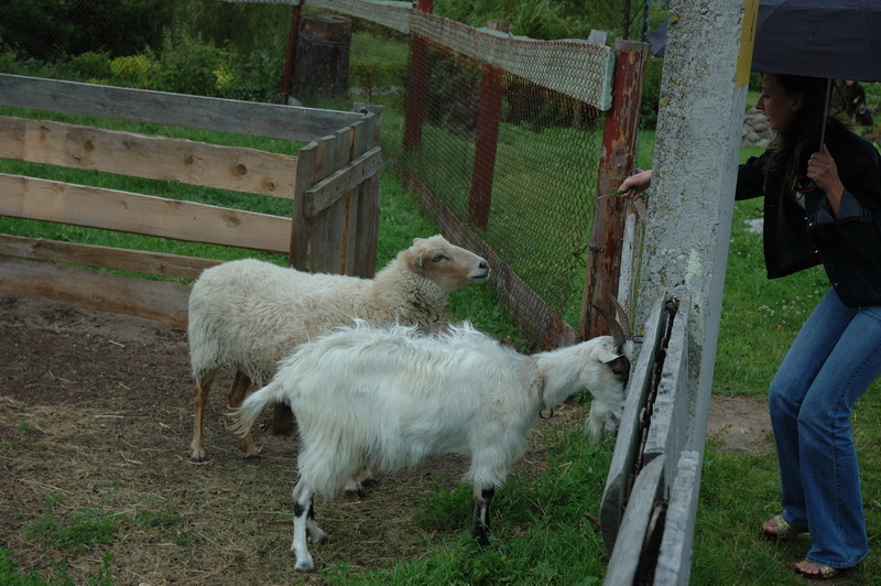 DSC_1404_resize.jpg