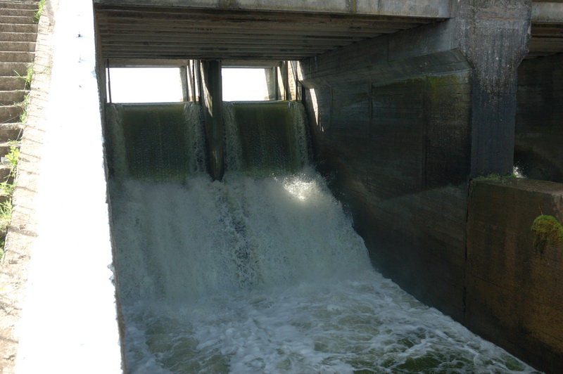 DSC_1566.jpg