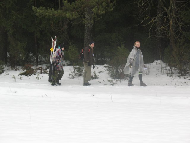 img3991e1.jpg