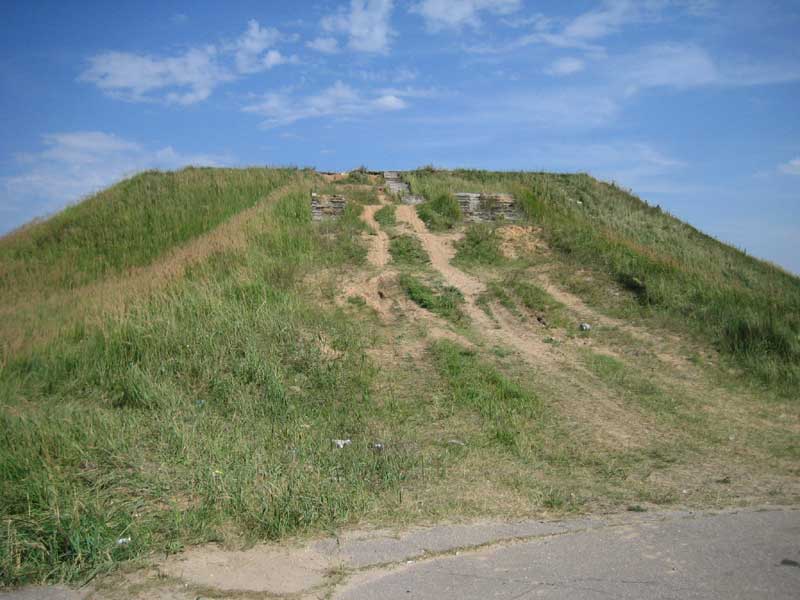IMG_9005.jpg