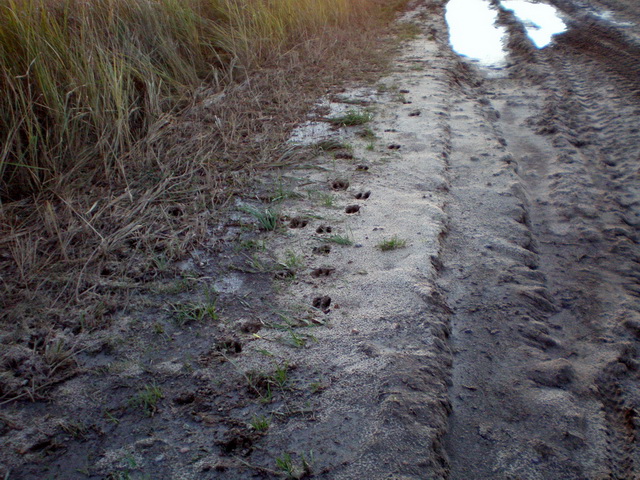 PB070037.JPG
