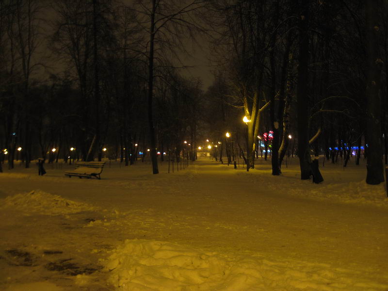 IMG_3014.jpg