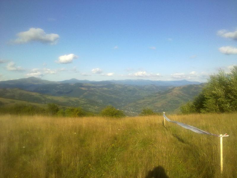 220820141982.jpg