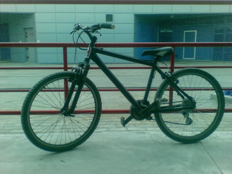 04072008-001.jpg