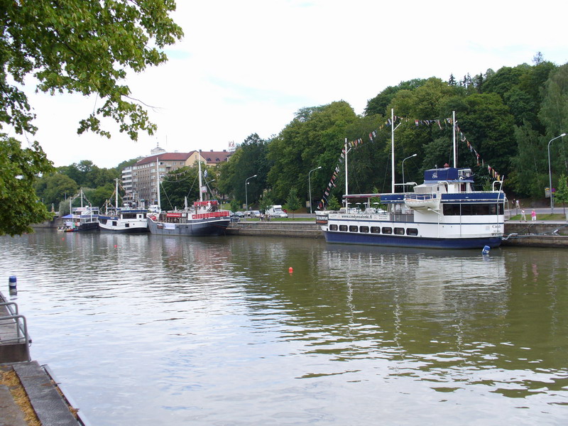 P1000524.jpg