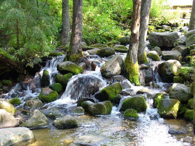 8_5654489.jpg