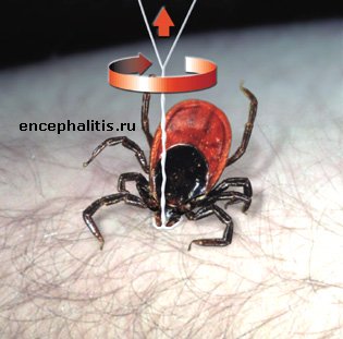 1176107755_tick_off2.jpg
