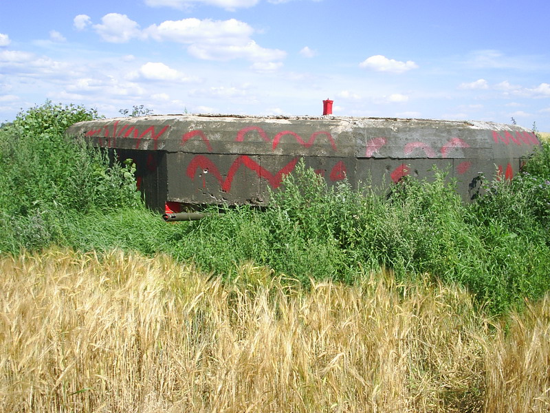 cherniavka13.jpg