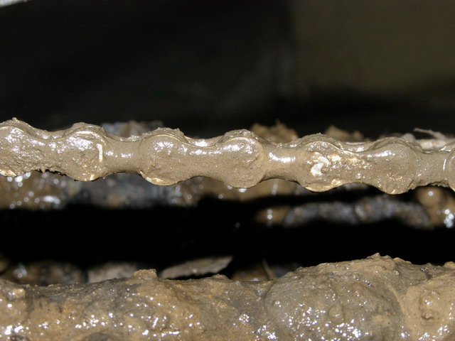 P1010206Crop.jpg