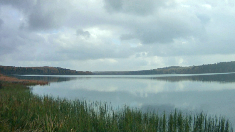 oz_Domashkovskoe_2.jpg