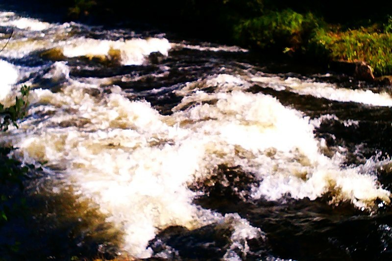IMAG0177_4.jpg