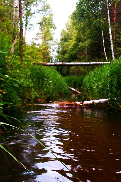 IMAG0461_3.jpg
