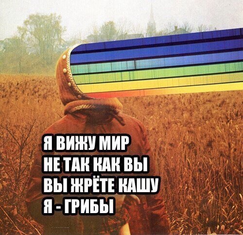 143195732089.jpg