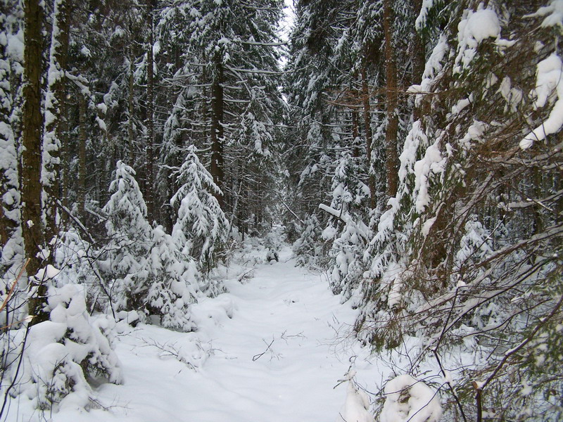 100_8677.jpg