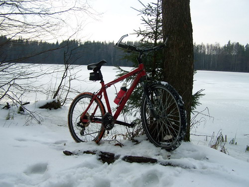100_1711.jpg