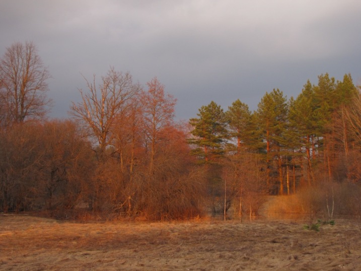 IMG_6746_1.JPG