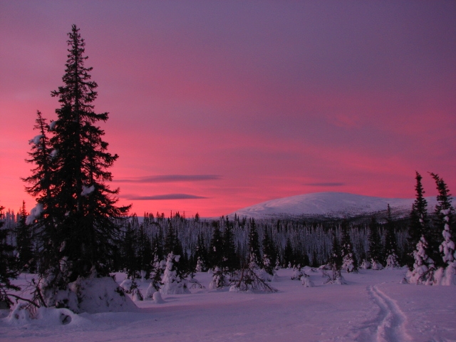 Polar_Sunset.JPG
