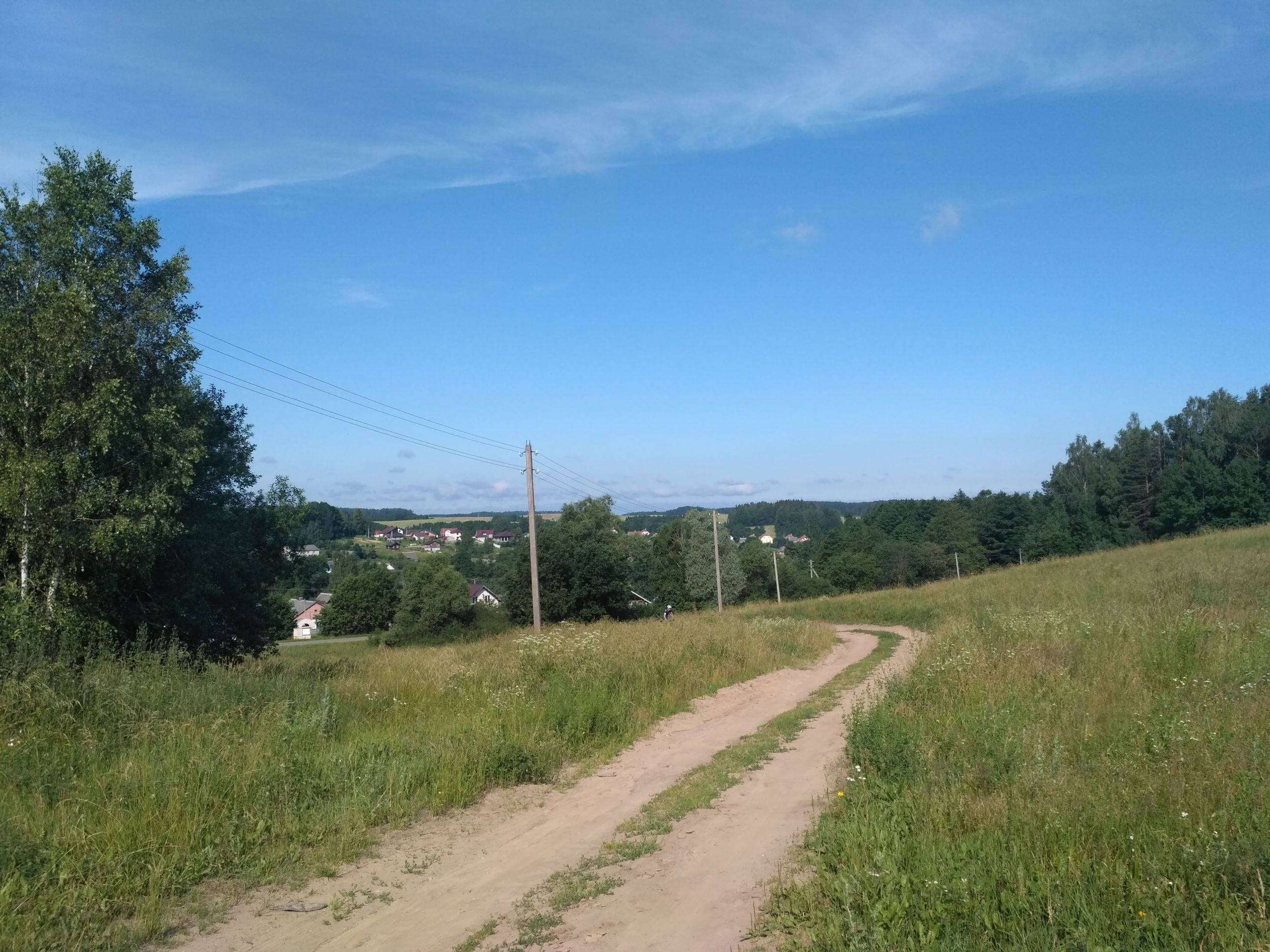 IMG_20200704_092632.jpg