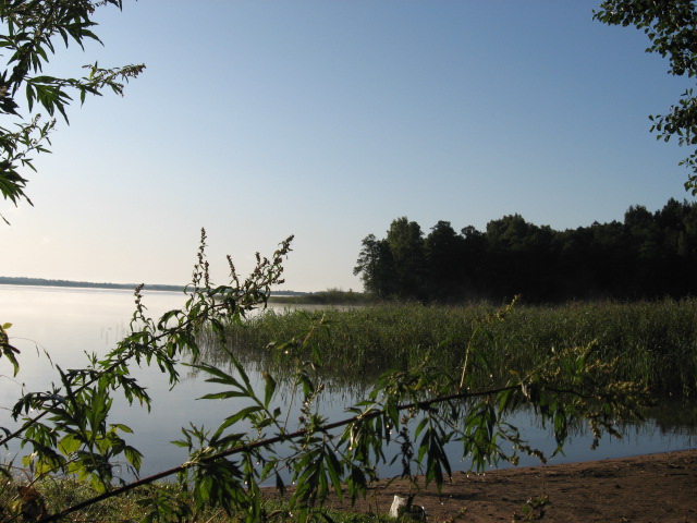 IMG_0970.JPG