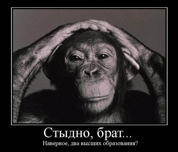 22_13.jpg