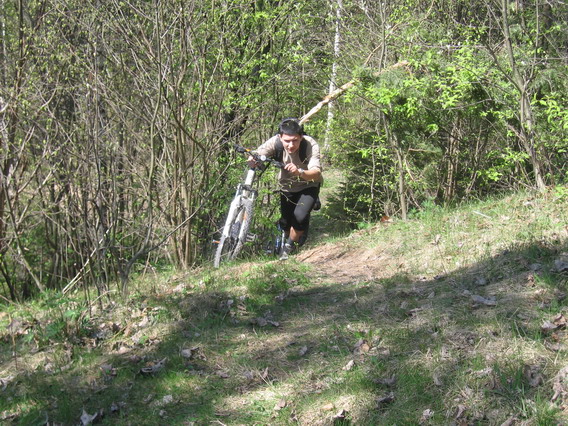 IMG_8325_resize.JPG