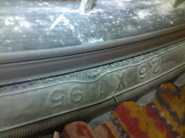 SPM_A0235.jpg