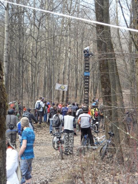 SDC10229.jpg