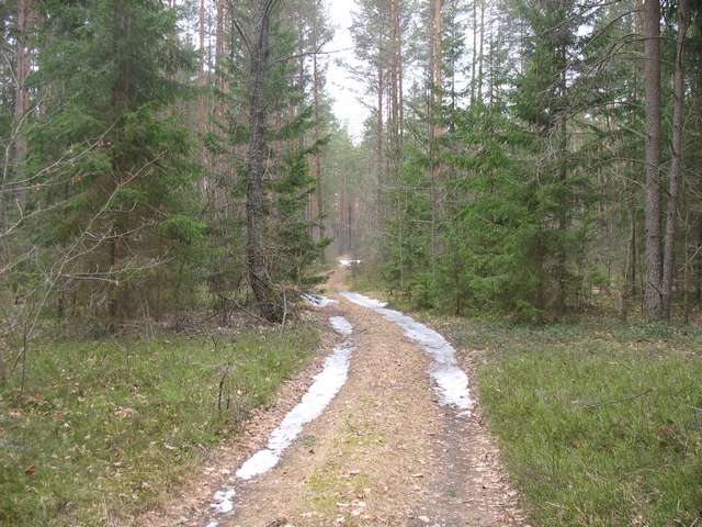 Izobrazhenie_060_8.jpg