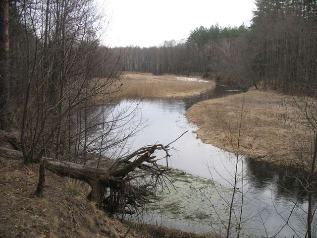 Izobrazhenie_064_4.jpg